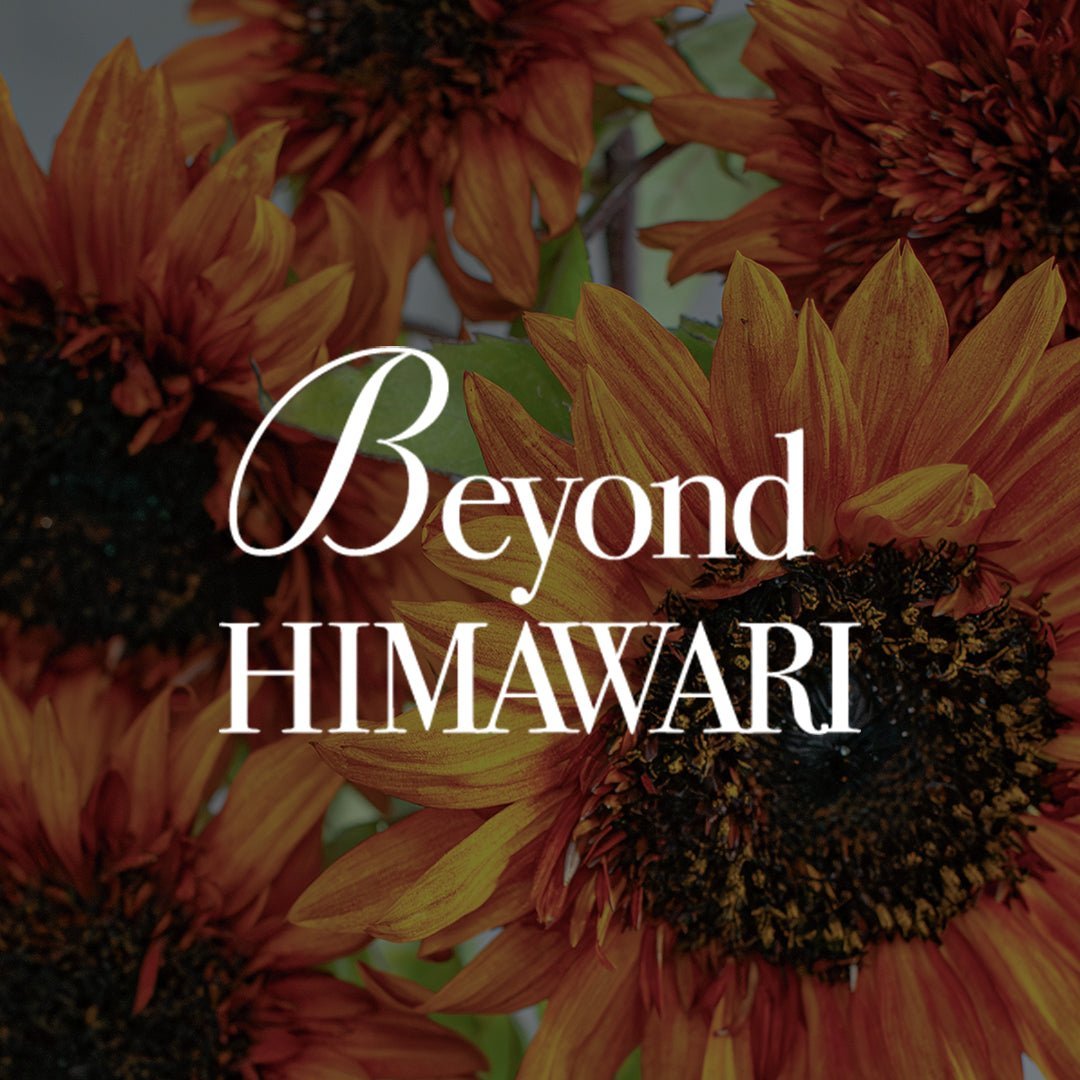 《Beyond HIMAWARI ─ 黄色だけが、ひまわりじゃない》#02 大人のひまわり、「ダージリン」。その魅力をひもとく - &YOUKAEN (アンドユーカエン)
