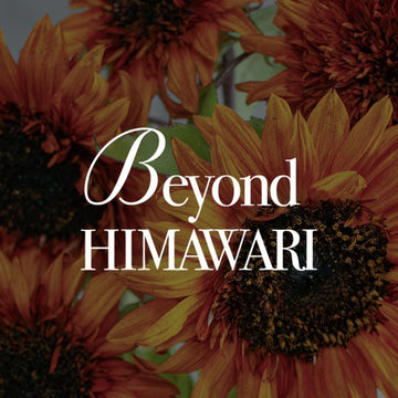 《Beyond HIMAWARI ─ 黄色だけが、ひまわりじゃない》#02 大人のひまわり、「ダージリン」。その魅力をひもとく - &YOUKAEN (アンドユーカエン)