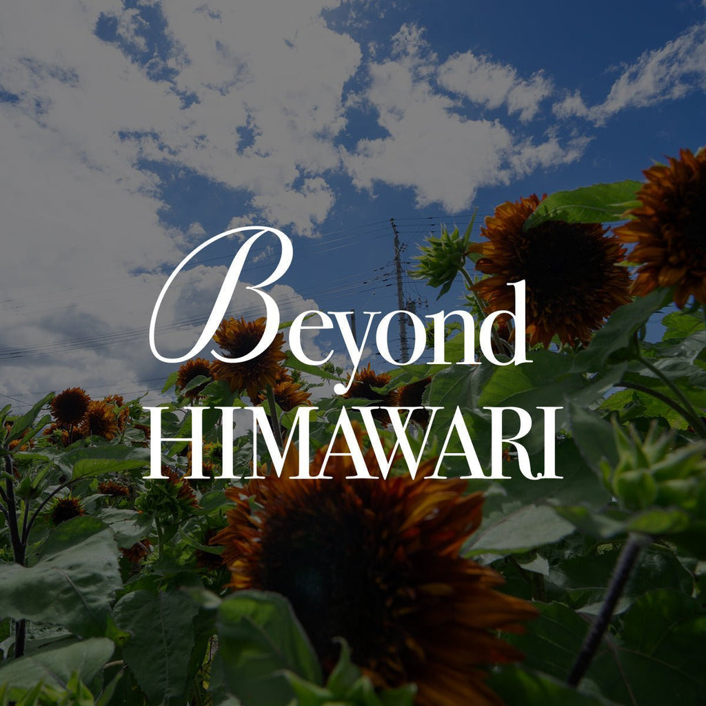 Beyond HIMAWARI ─ 黄色だけが、ひまわりじゃない》#04 ひまわりの