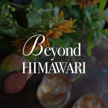 《Beyond HIMAWARI ─ 黄色だけが、ひまわりじゃない》#04 ひまわりの“固定概念”を変えた。ダージリン誕生の舞台裏。名前が語る、花の物語。vol.2 - &YOUKAEN (アンドユーカエン)