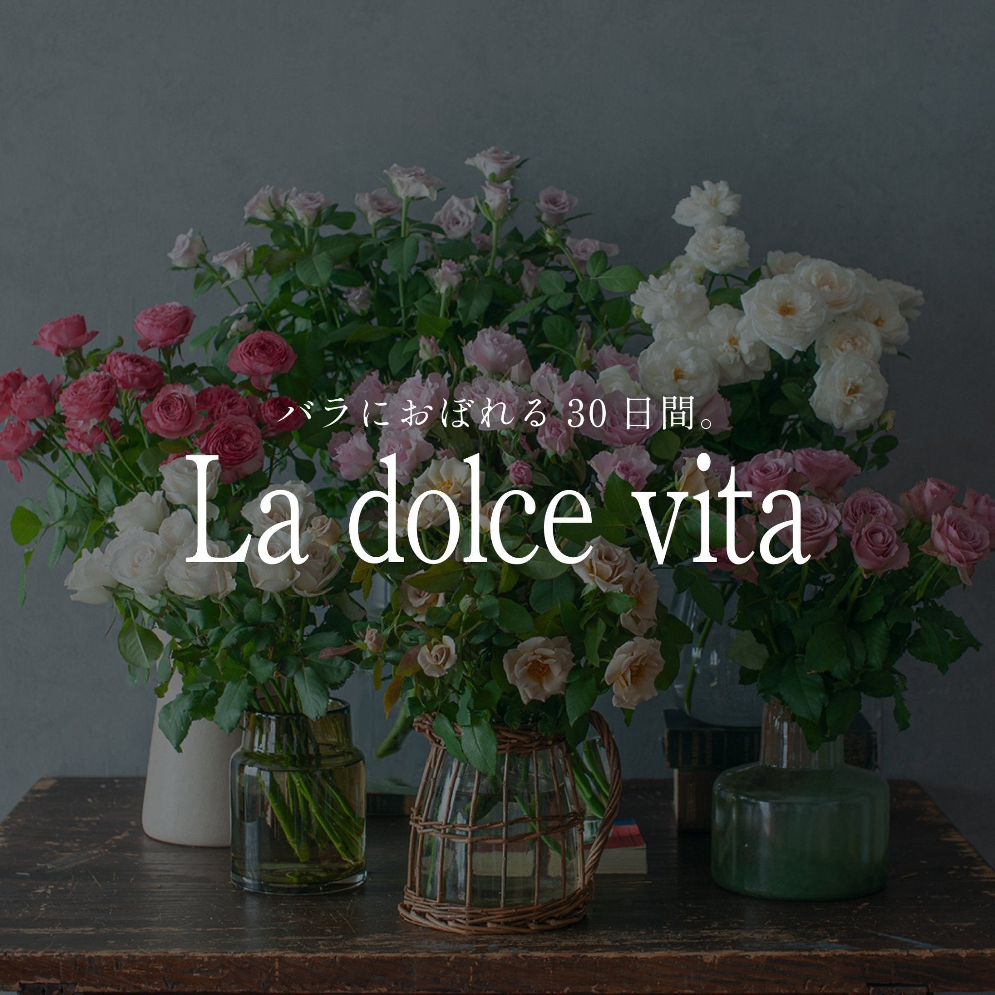 《バラにおぼれる30日間 -la dolce vita》#2 秋バラの定義と魅力 - &YOUKAEN (アンドユーカエン)