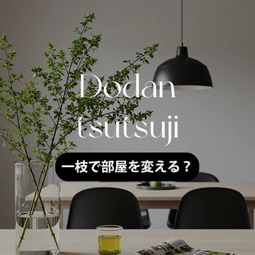 一枝で部屋が変わる ドウダンツツジで部屋をアップグレード！枝ものインテリアの魅力と飾り方 - &YOUKAEN (アンドユーカエン)