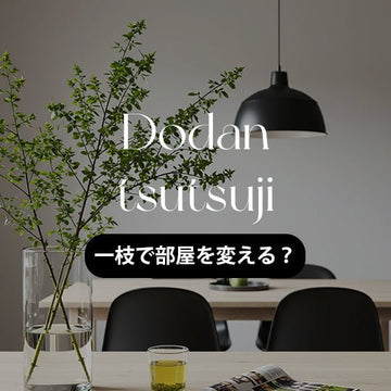 一枝で部屋が変わる ドウダンツツジで部屋をアップグレード！枝ものインテリアの魅力と飾り方 - &YOUKAEN (アンドユーカエン)