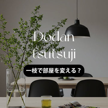 一枝で部屋が変わる ドウダンツツジで部屋をアップグレード！枝ものインテリアの魅力と飾り方 - &YOUKAEN (アンドユーカエン)