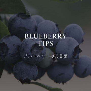 最近はブルーベリーの枝を飾るのが人気！？花言葉についても解説！ - &YOUKAEN (アンドユーカエン)