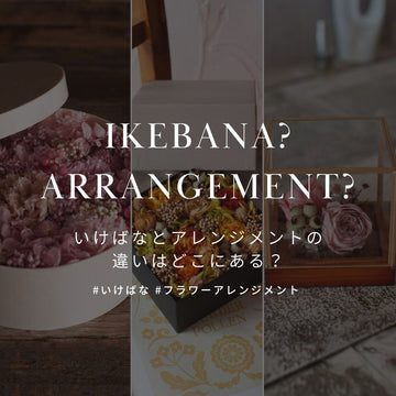 「フラワーアレンジメント」 と「いけばな」の違いについて - &YOUKAEN (アンドユーカエン)