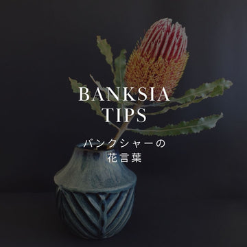 バンクシャー（バンクシア）の魅力と花言葉！人気のブーケも紹介 - &YOUKAEN (アンドユーカエン)