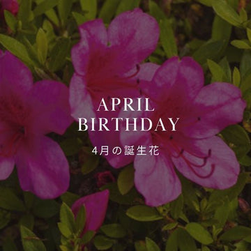 4月の誕生花 誕生日の花と花言葉の一覧 - &YOUKAEN (アンドユーカエン)