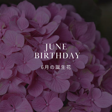 6月の誕生花 誕生日の花と花言葉の一覧 - &YOUKAEN (アンドユーカエン)
