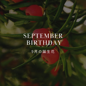 9月の誕生花 誕生日の花と花言葉の一覧 - &YOUKAEN (アンドユーカエン)