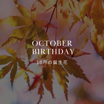 10月の誕生花 誕生日の花と花言葉の一覧 - &YOUKAEN (アンドユーカエン)