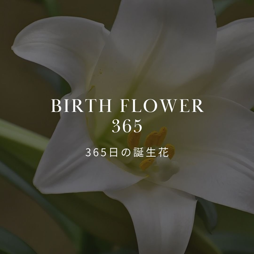 365日の誕生花を知ってお花を楽しもう！ – &YOUKAEN (アンドユーカエン)