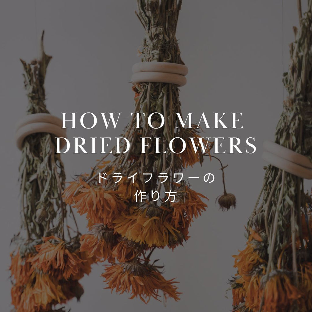 初心者でも簡単！自宅で楽しむドライフラワーの作り方 – &YOUKAEN