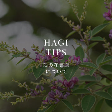 萩の花言葉は？歴史や豆知識についても解説！ - &YOUKAEN (アンドユーカエン)
