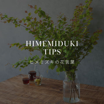 ヒメミズキの花言葉とは？その魅力を解説！ - &YOUKAEN (アンドユーカエン)