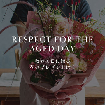 敬老の日のプレゼントに定番の花は？おすすめの種類と選び方 - &YOUKAEN (アンドユーカエン)