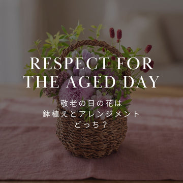 敬老の日の花は鉢植えとアレンジメントどっち？喜ばれる選び方 - &YOUKAEN (アンドユーカエン)