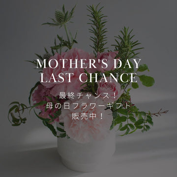 母の日商品、締め切り延長中！！ 5月9日12:00まで！　今ならまだ母の日に間に合います！ - &YOUKAEN (アンドユーカエン)