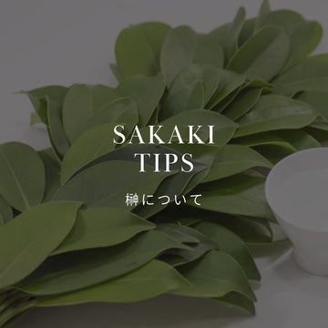 榊ってどんな植物？由来や花言葉、神棚へのお供えマナーを解説 - &YOUKAEN (アンドユーカエン)