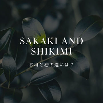 榊（サカキ）と樒（シキミ）の違いとは？神棚・仏壇の正しい使い分け - &YOUKAEN (アンドユーカエン)