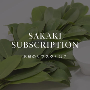 【プロが解説】失敗しない榊の定期便（サブスク）の選び方とおすすめ - &YOUKAEN (アンドユーカエン)