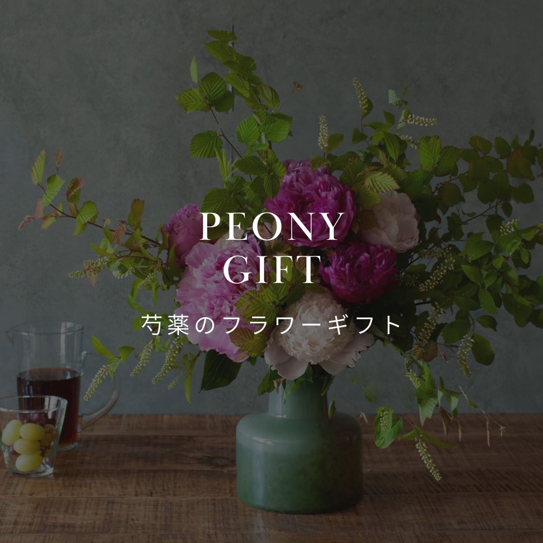 芍薬は今が旬！ 芍薬のフラワーギフトを販売中！ - &YOUKAEN (アンドユーカエン)