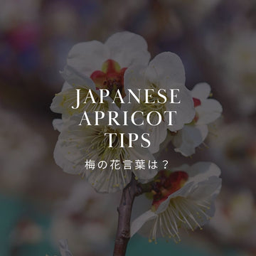 梅の花言葉を詳しく解説！意味や由来とは - &YOUKAEN (アンドユーカエン)