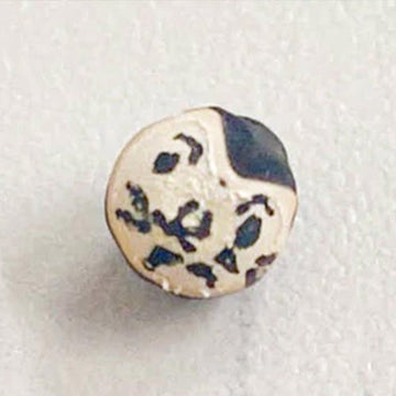 【フローリスト日記】フウセンカズラの種はダルマの形？ - &YOUKAEN (アンドユーカエン)