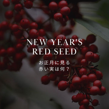 正月に見る赤い実の植物の名前一覧 - &YOUKAEN (アンドユーカエン)