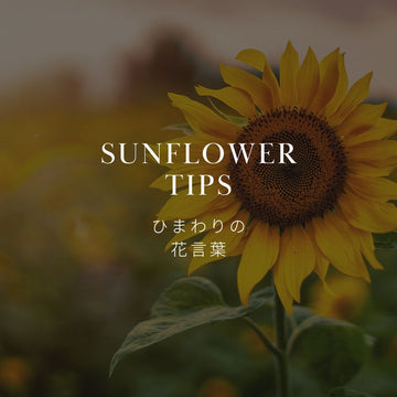 ひまわりの花言葉とは？意味・本数別の違いとプレゼントに贈る理由 - &YOUKAEN (アンドユーカエン)