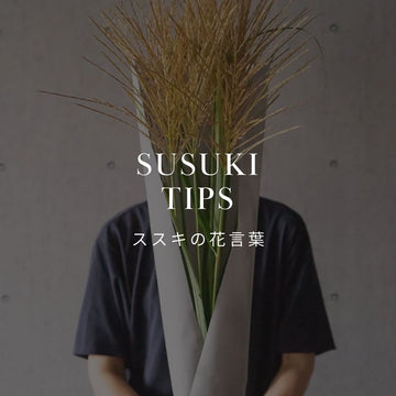 お月見に欠かせないススキ！花言葉や魔除けの意味、素敵な飾り方 - &YOUKAEN (アンドユーカエン)