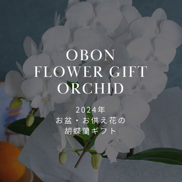 2024年 お盆に贈るお供え花特集！ おしゃれな胡蝶蘭ギフトを販売中！ - &YOUKAEN (アンドユーカエン)