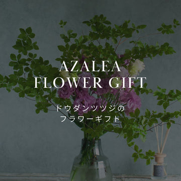 夏が旬！ドウダンツツジを使用したフラワーギフトを販売中！ - &YOUKAEN (アンドユーカエン)