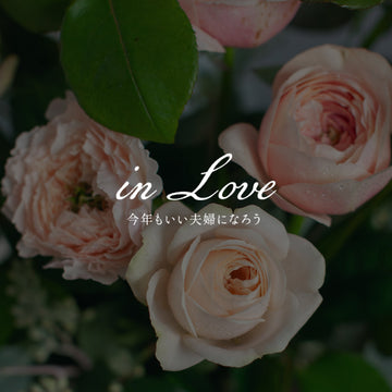 《今年もいい夫婦になろう -in Love》#3　なぜ、いい夫婦の日の花束がピンクなのか。 - &YOUKAEN (アンドユーカエン)