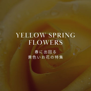 春は黄色が人気！ 春に咲く黄色い花の種類を紹介 - &YOUKAEN (アンドユーカエン)