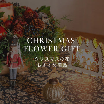 贈り物に最適！クリスマスの花特集！