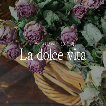 《バラにおぼれる30日間 -la dolce vita》#9 秋バラ定期便をもっと楽しむ、ドライローズ - &YOUKAEN (アンドユーカエン)