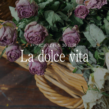 《バラにおぼれる30日間 -la dolce vita》#9 秋バラ定期便をもっと楽しむ、ドライローズ