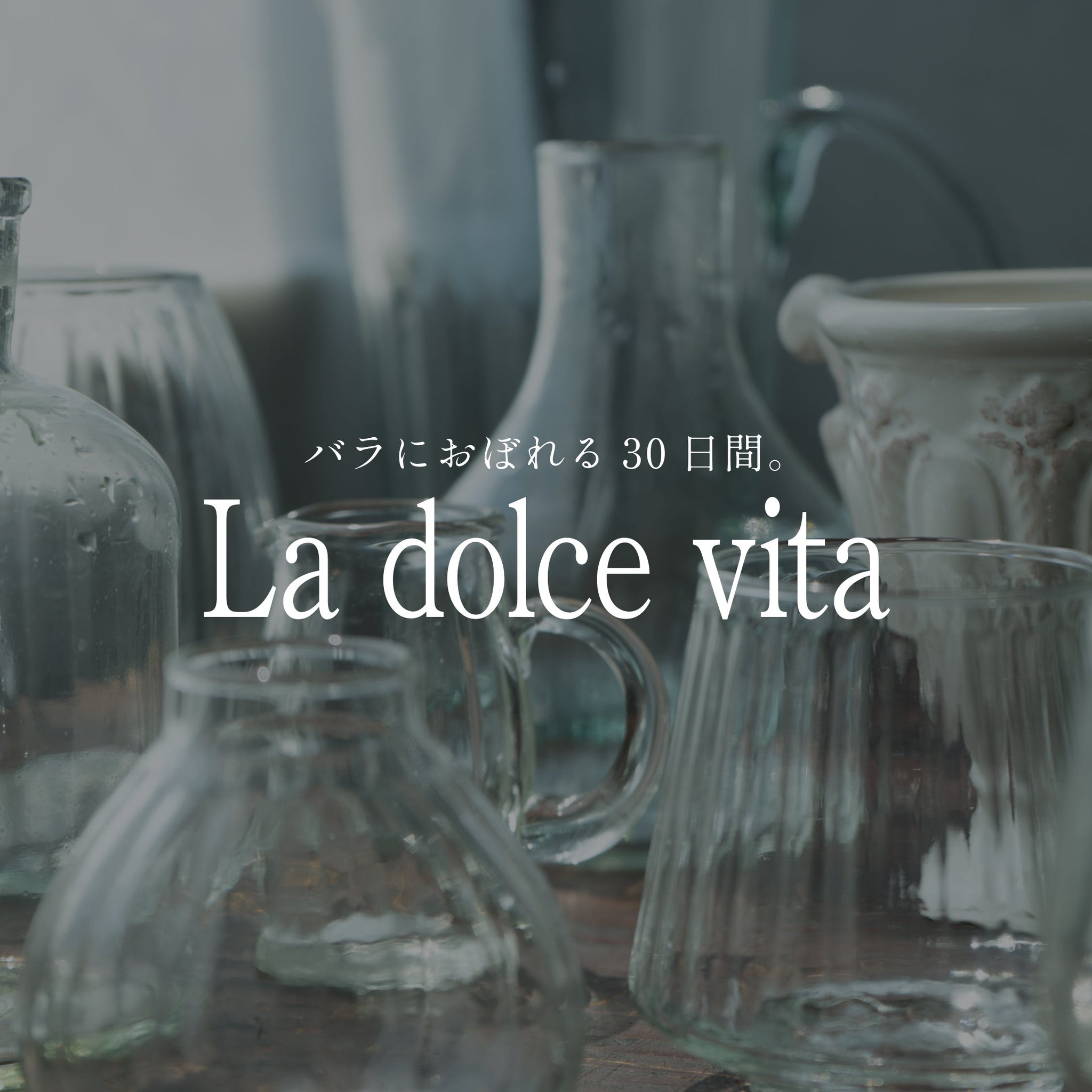 《バラにおぼれる30日間 -la dolce vita》番外編 秋バラのお手入れ - &YOUKAEN (アンドユーカエン)