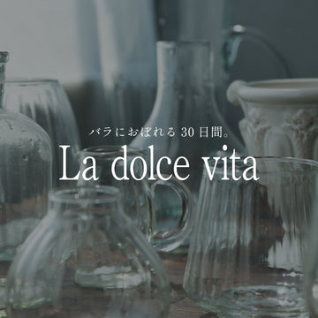 《バラにおぼれる30日間 -la dolce vita》番外編 秋バラのお手入れ - &YOUKAEN (アンドユーカエン)