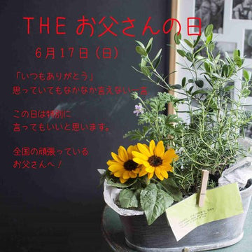 THE お父さんの日 - &YOUKAEN (アンドユーカエン)