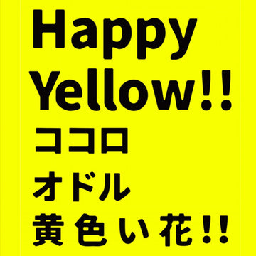 Happy Yellow!!