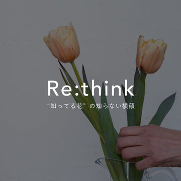 《Re:think “知ってる花”の、知らない横顔》vol.1 染めのチューリップ観察日記 ── 知っている春の花、その内側に触れる - &YOUKAEN (アンドユーカエン)