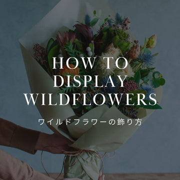 ワイルドフラワーの花束をおしゃれに！プロが教える飾り方と長持ちのコツ - &YOUKAEN (アンドユーカエン)