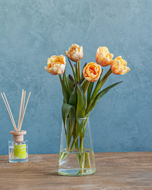 価格 3000円~4000円 - &YOUKAEN (アンドユーカエン)