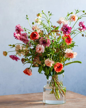 スプリングギフト - &YOUKAEN (アンドユーカエン)