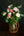 【週末限定】保科バラ園のバラを使った おしゃれな花束「nuance」【期間限定 オータムギフト】