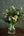 【週末限定】保科バラ園のバラを使った おしゃれな花束「full bloom」【期間限定 オータムギフト】