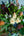 【秋 限定】ワイルドフラワーの花束 「Wild Fruit」【ブーケ】