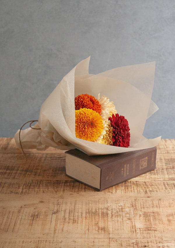 季節の花 50～60cm 「おまかせマムMIX ニュアンスカラー」 - &YOUKAEN (アンドユーカエン)